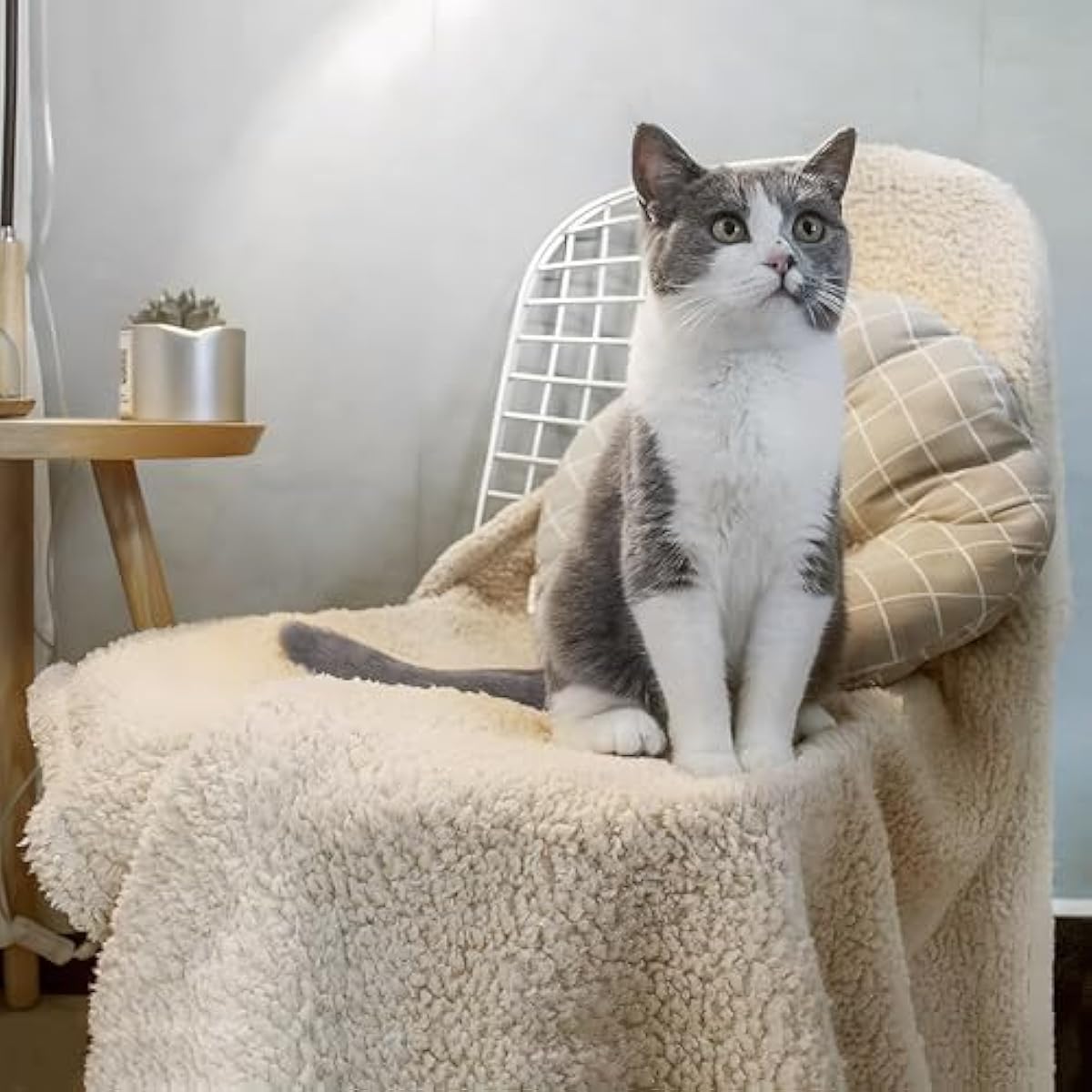 Furrybaby Soft Sherpa Pet Blanket