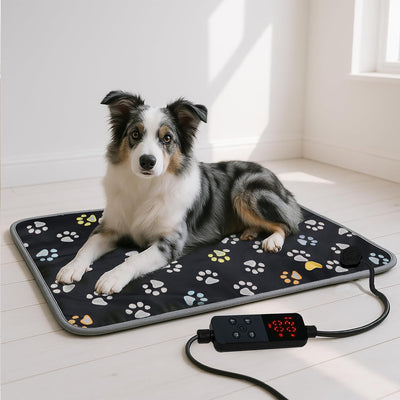 Cozy Paws: Why a Leather Heating Pad is a Winter Must-Have for Your Dog or Cat