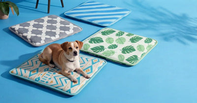 How to Choose a Cooling Mat for Dogs, Cats & Small Pets This Summer