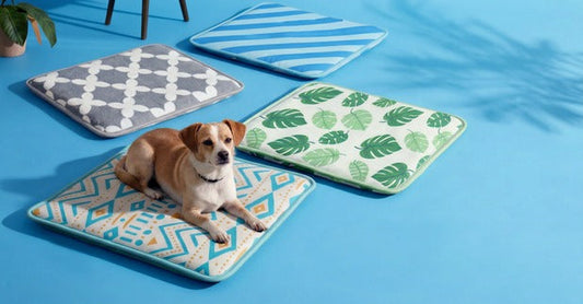 How to Choose a Cooling Mat for Dogs, Cats & Small Pets This Summer