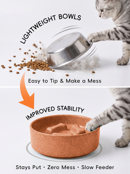 Bone Ridge Ceramic Slow Feeder Bowl for Dogs & Cats