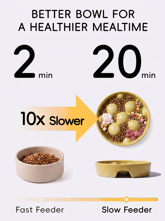 Ball Ceramic Slow Feeder Bowl for Dogs & Cats