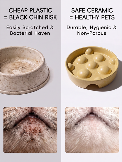Ball Ceramic Slow Feeder Bowl for Dogs & Cats