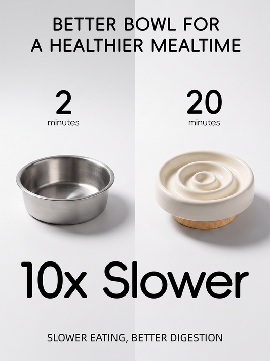 Elevated Spiral Ceramic Slow Feeder Bowl for Dogs & Cats