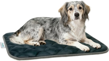 furrybaby Dog Bed Mat Flat Crate Mat with Anti-Slip Bottom Machine Washable Pet Kennel Pad for Dog Sleeping (XS 22x13'', Grey Mat)