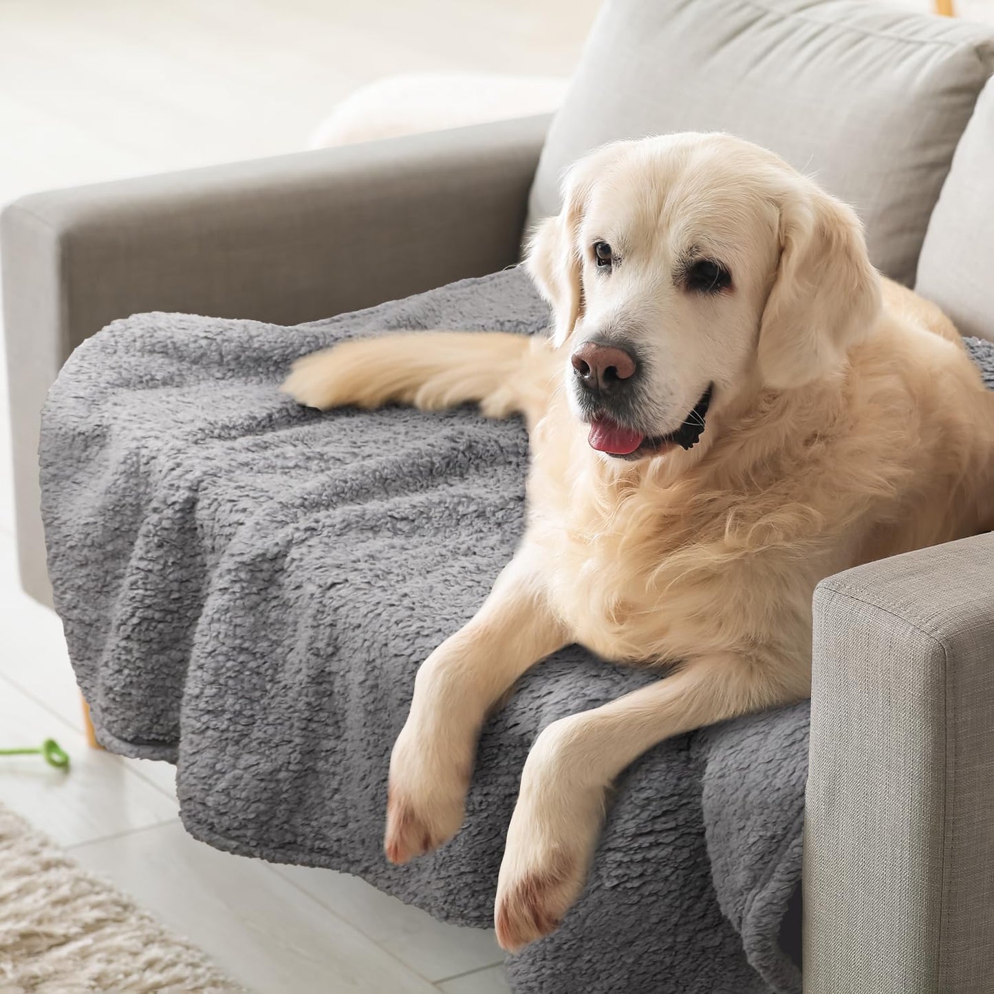 furrybaby 2-in-1 Puppy Blankets for Small Dogs - Premium Super Soft Sherpa & Fleece Dog & Cat Bed Blankets - Washable & Portable - Beige (24"x32")